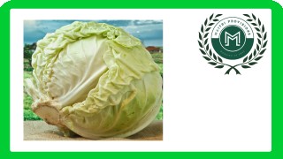 Cabbage Green