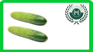 Fresh Cucumber  