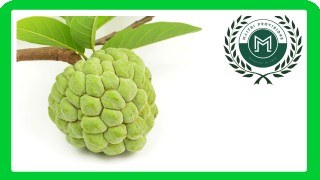 Custard Apple