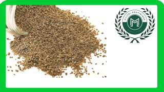 AJWAIN    